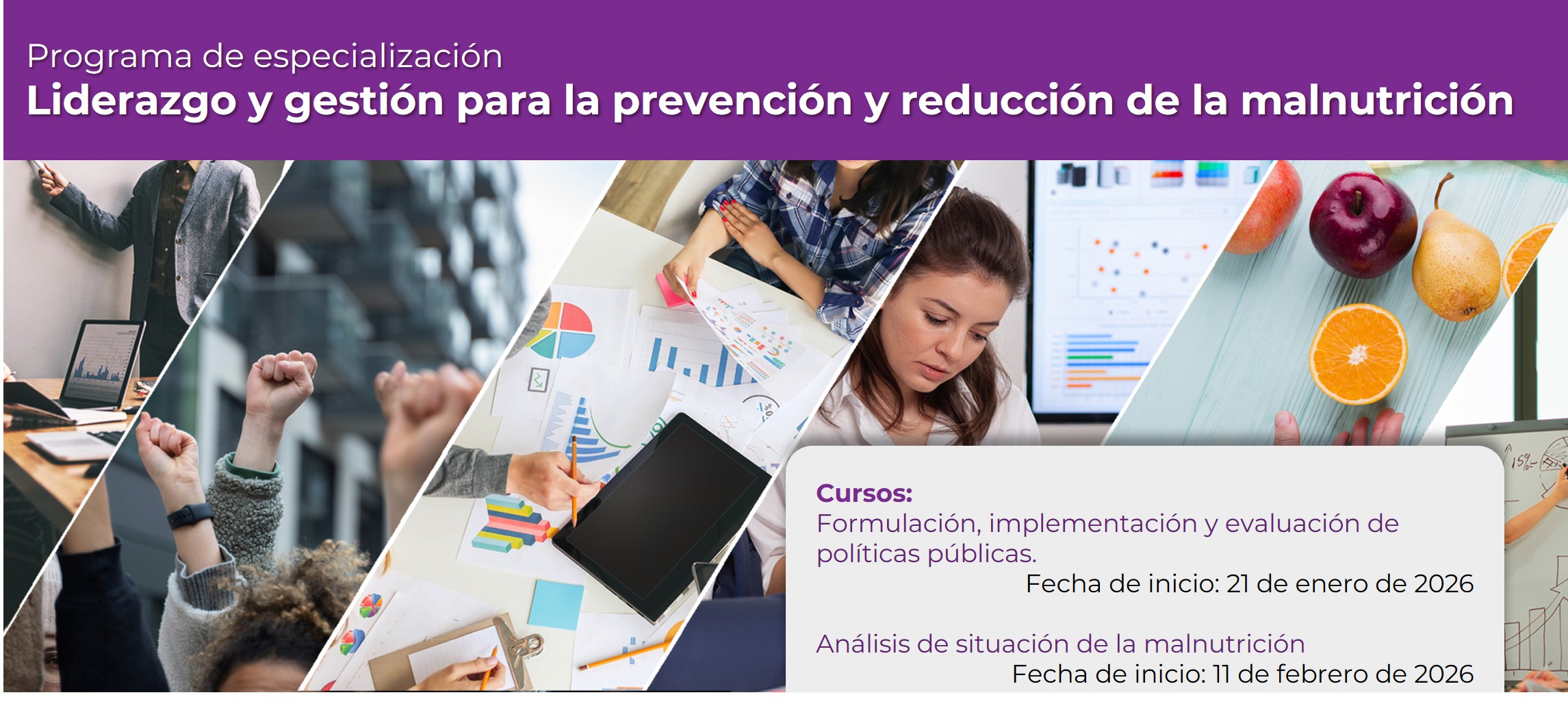 Programa de especialización <br><strong>Liderazgo y gestión para  la prevención y reducción de la malnutrición</strong>